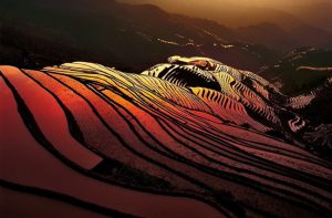 Magnificent Sunset of Bada Rice Terraces