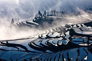 Wonderful Sunrise and Fantastic Cloud Sea in Duoyishu Rice Terraces