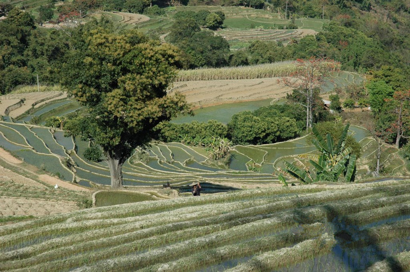 Gasa Town in Xinping County, Yuxi