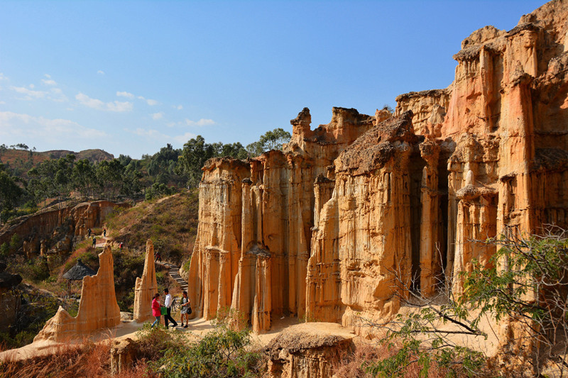 Wumao Earth Forest in Yuanmoun County, Chuxiong