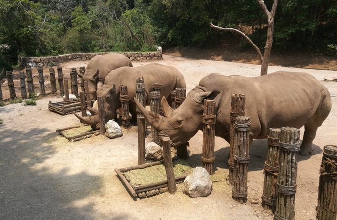 Xiniuping Scenic Area of Puer National Park