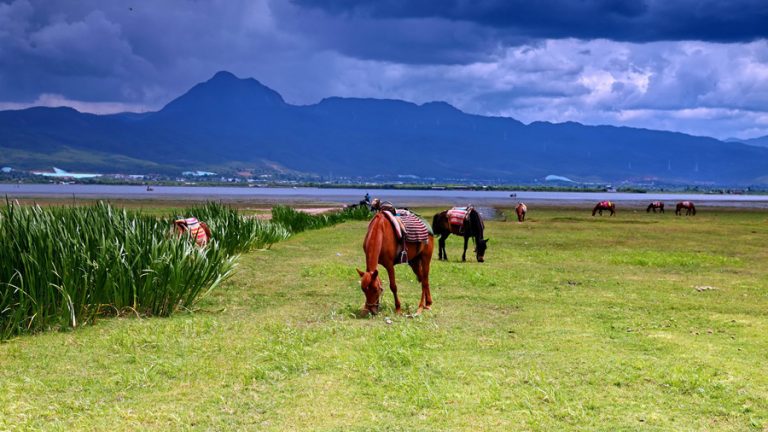 Lashihai Lake in Lijiang