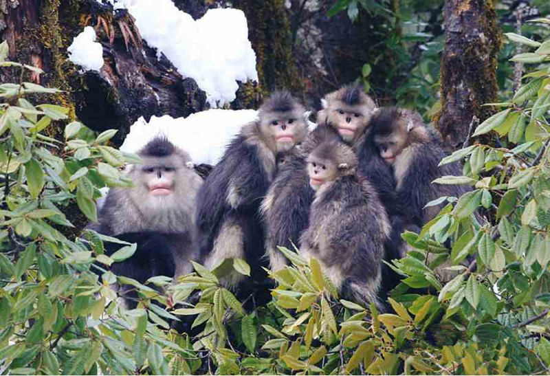 8 Days Yunnan Cycling Tour from Yangtze to Mekong Rivers