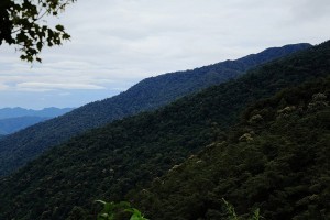Climate & When to Go, Pingbian County , China