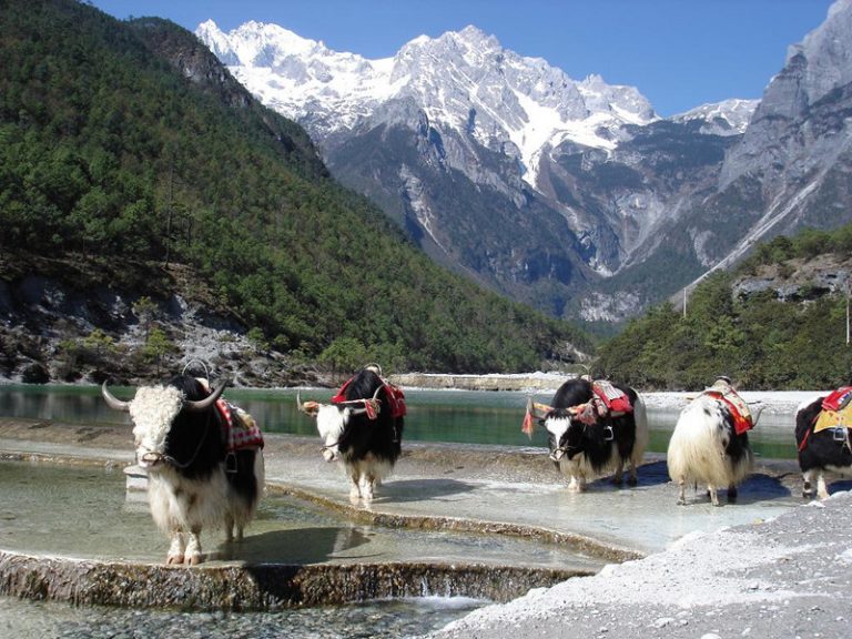 Blue Moon Valley and Baishuihe River in Lijiang