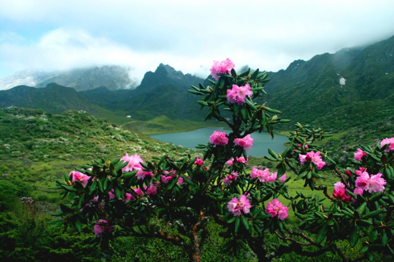 Heihai Lake of Haba Snow Mountain in Shangrila, Diqing