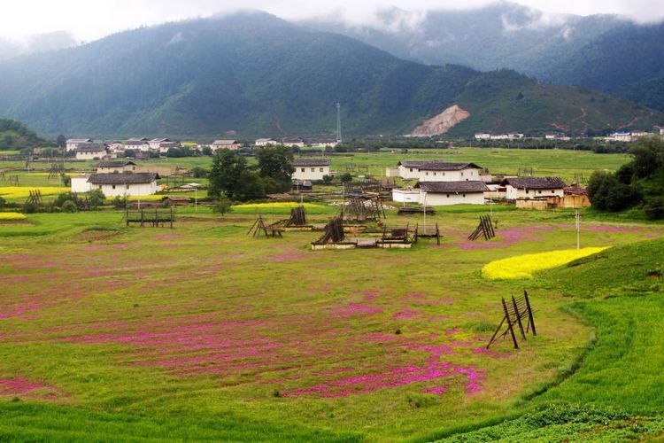 Where to visit in Yunnan