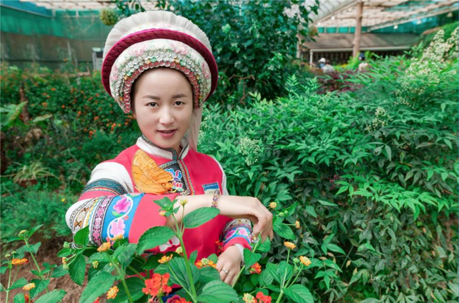 Sandaocha (Three-Course Tea) Ceremony of Bai Ethnic Minority in Dali