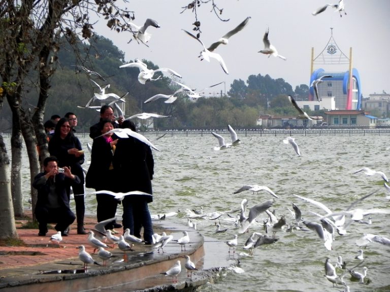 Haigeng Park in Kunming.