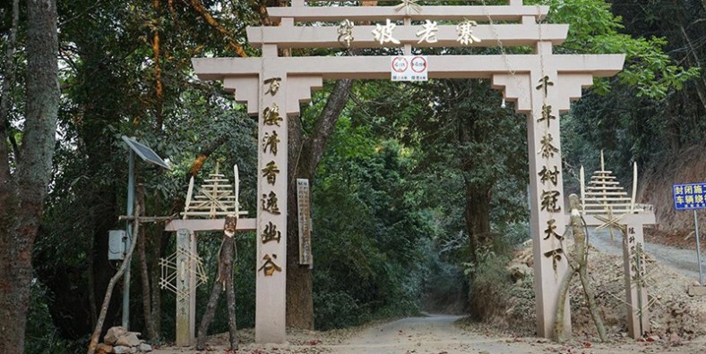 Nannuo Tea Mountain in Menghai County, Xishuangbanna