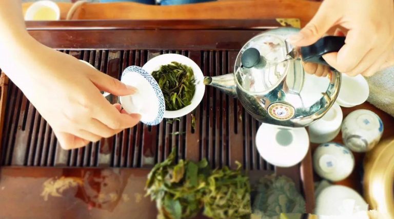 Guafengzhai Tea Plantation of Yiwu Mountain, XishuangBanna