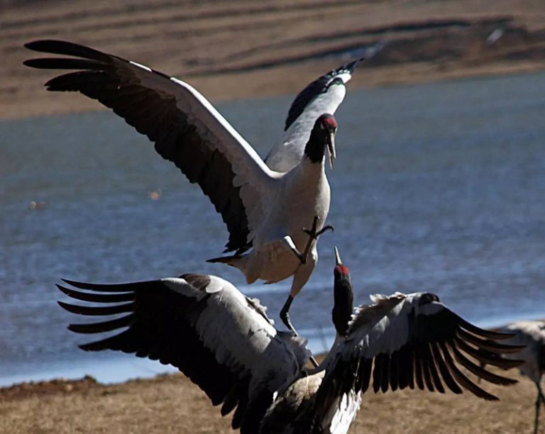 Nianhu Lake in Huize County, Qujing