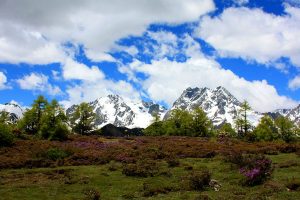 Climate & When to Go, Diqing , China
