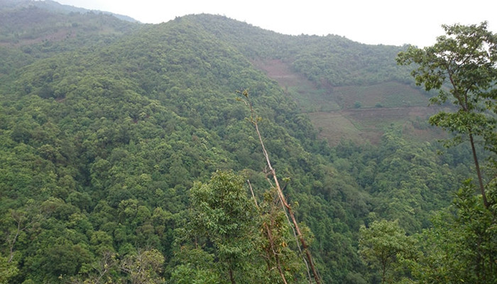 Dazhongshan Village of Xibanshan Mountain in Mengku Town, Lincang