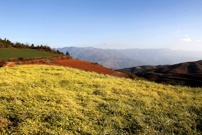 Car Rental for 1 Day Dongchuan Red Land Tour in Kunming