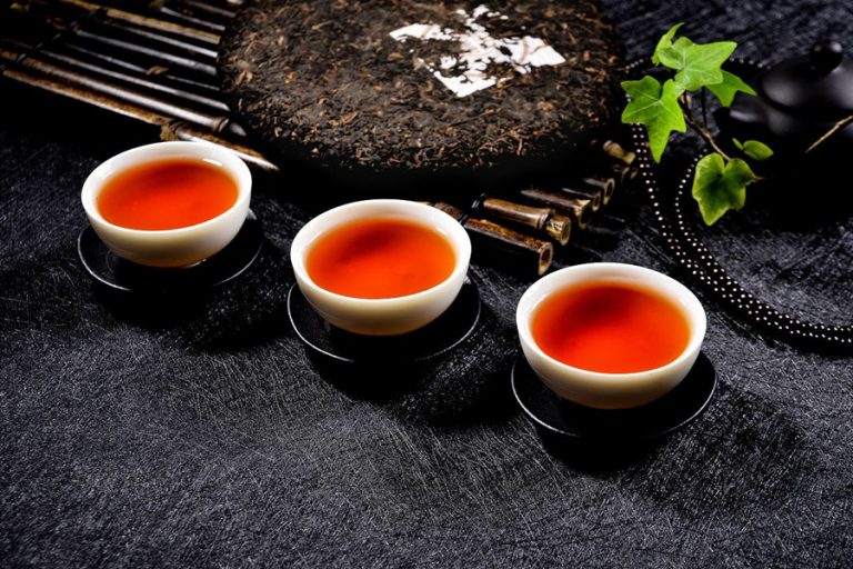 Jingmai Ancient Tea Mountain in Lancang County, Puer
