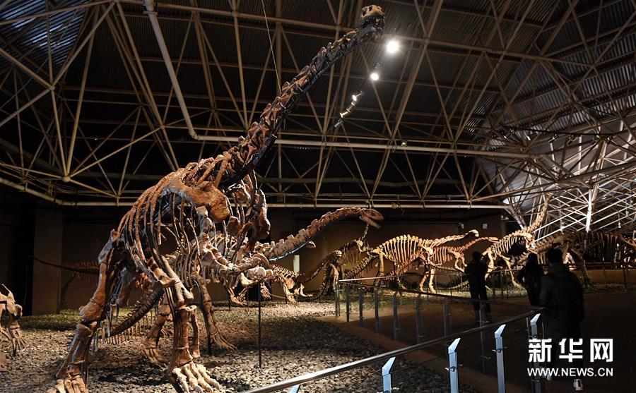 1 Day Chuxiong Lufeng World Dinosaur Valley Tour from Kunming