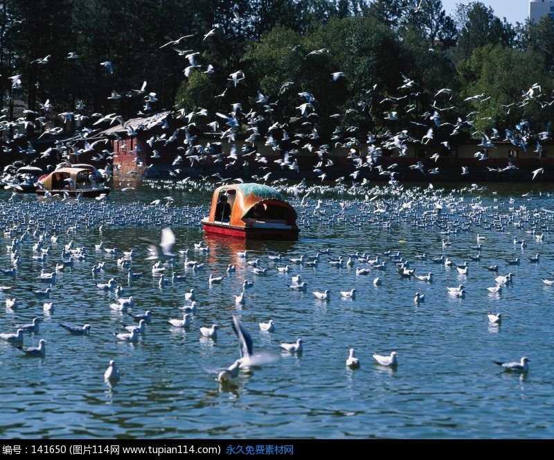 1 Day Kunming City Tour