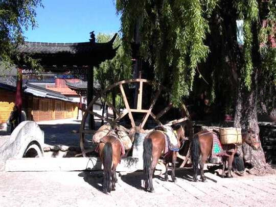 12 Handrails of Ancient Tea Horse Road in Shangri-La , Diqing