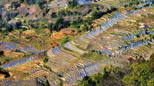 Ailao Rice Terraces in Yuanjiang County, Yuxi