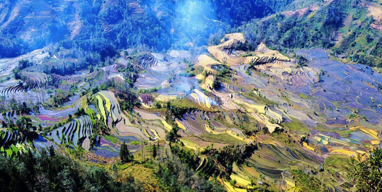 Ailao Rice Terraces in Yuanjiang County, Yuxi