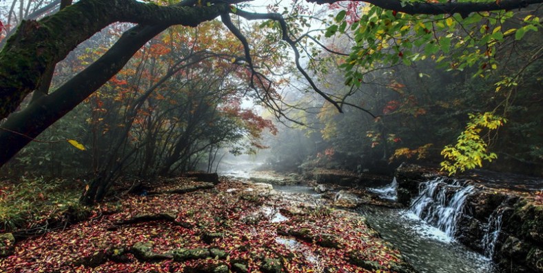 Xiaocaoba Scenic Area in Yiliang County, Zhaotong