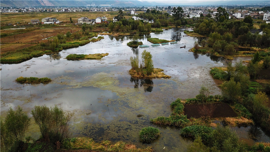 Caohai Town of Heqing County in Dali