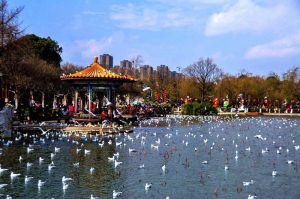 Daguan Pavilion Park,Kunming