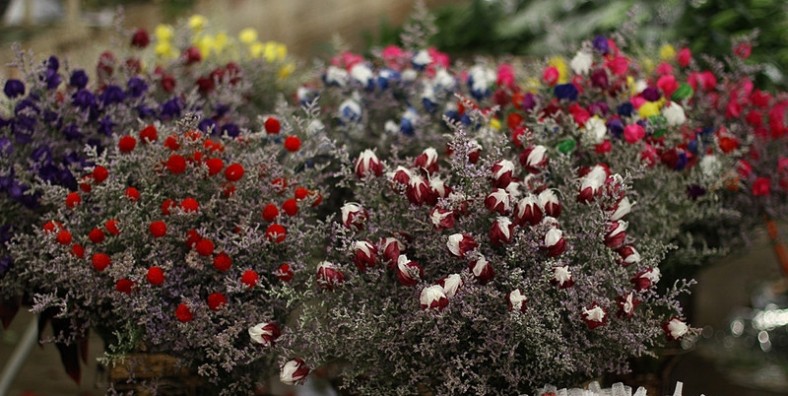 Dounan Flowers Market in Kunming