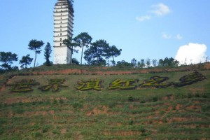 Transportation, Fengqing County , China