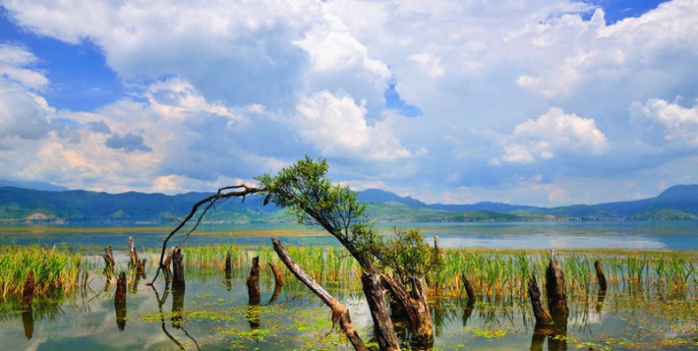 Haishe (Tongue of Erhai Lake) Park of Erhai Lake in Dali City