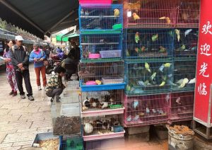 Jingxing Flowers and Birds Market in Kunming