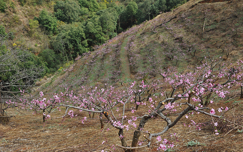 Kuanzhuang Town of Fumin County in Kunming