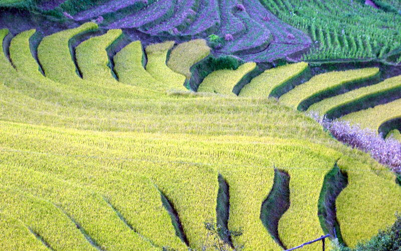 Shili Town of Fengqing County in Lincang City