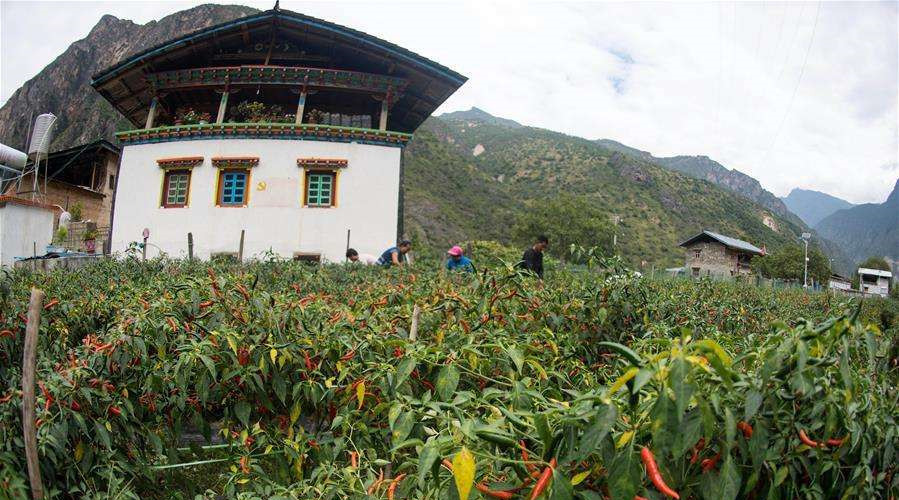 Wujing Town of Shangri-La City, Diqing