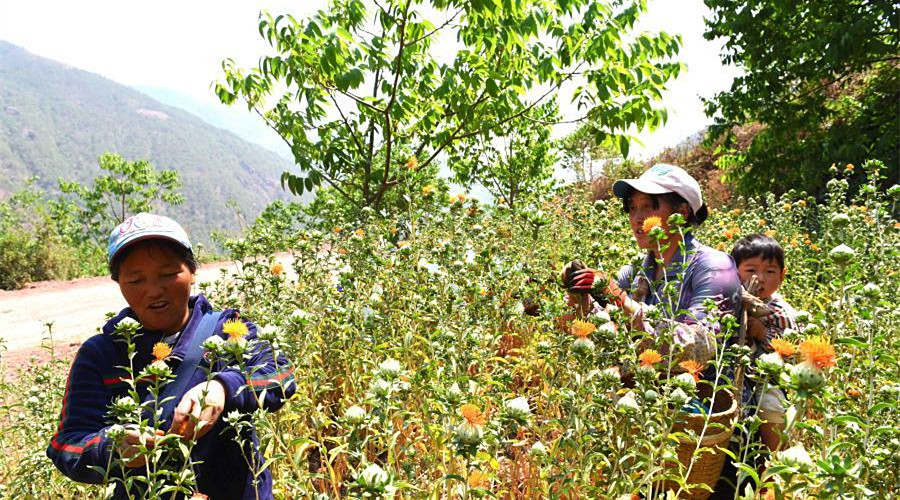 Wuyin Town of Weishan County in Dali