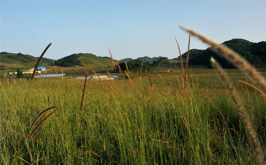 Jianxing Town of Xinping County, Yuxi