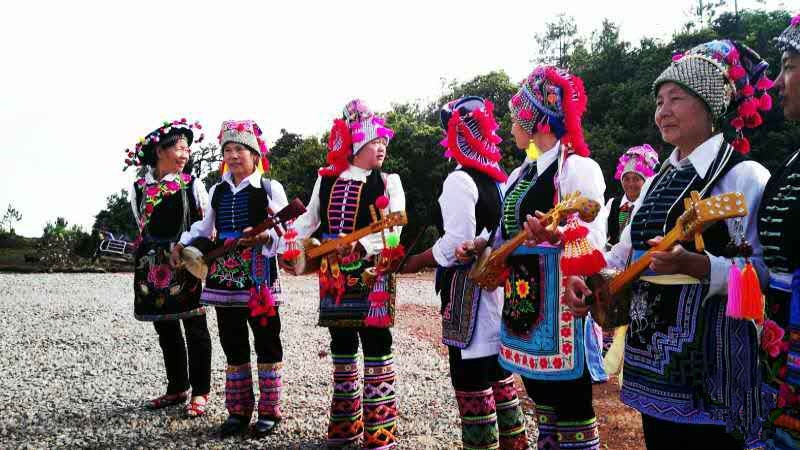 Matsutake Picking and Kaishan Festival in Nanhua County, Chuxiong