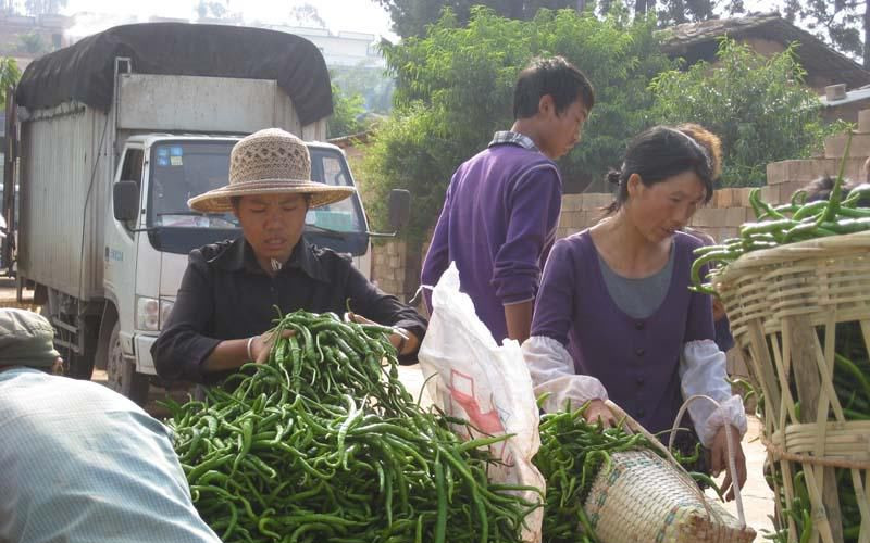 Ningzhou Subdistrict of Huaning County, Yuxi