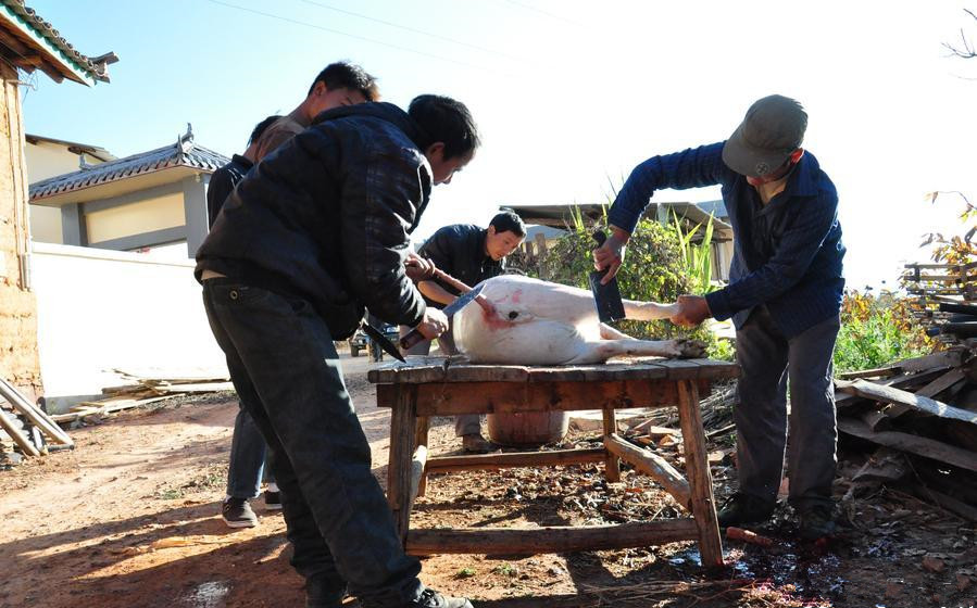 Pig-butchering Festival in Yongren County, Chuxiong