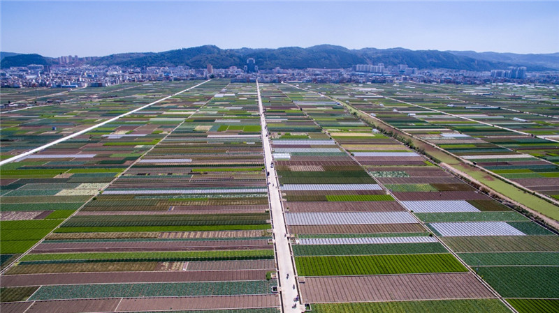 Xiushan Subdistrict of Tonghai County, Yuxi