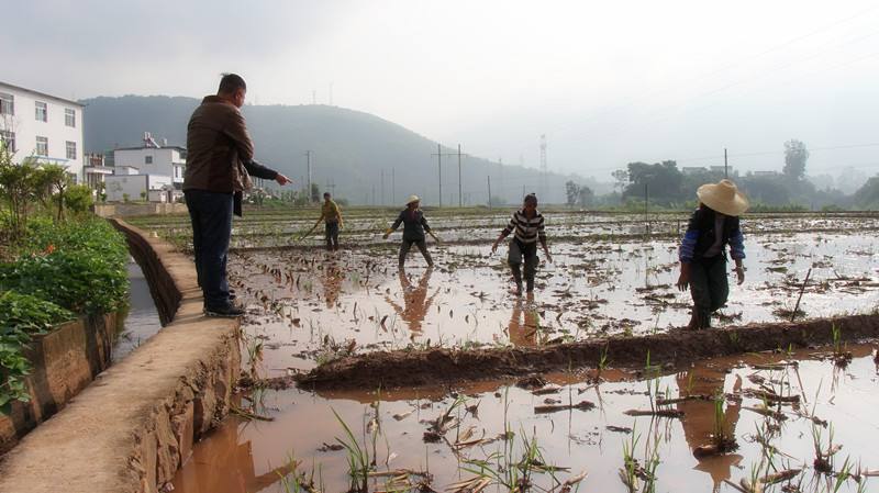 Yangwu Town of Xinping County, Yuxi