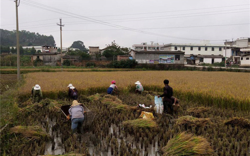 Yinyuan Town of Yuanjiang County, Yuxi