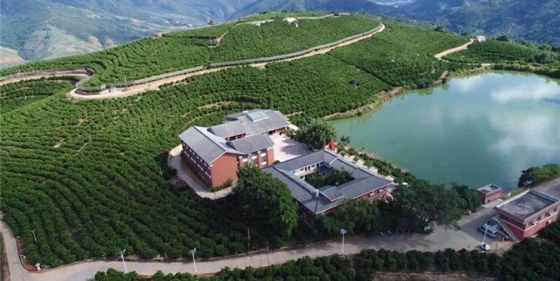 Chu Orange Manor in Xinping County, Yuxi