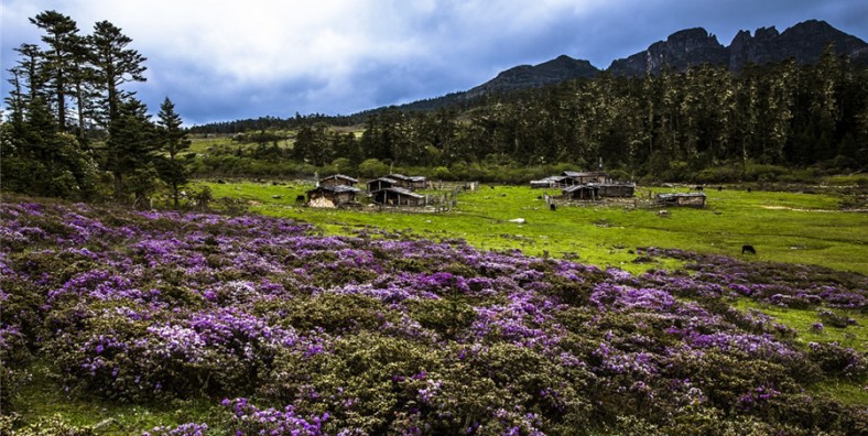 Qianhu Mountain in Shangrila, Diqing
