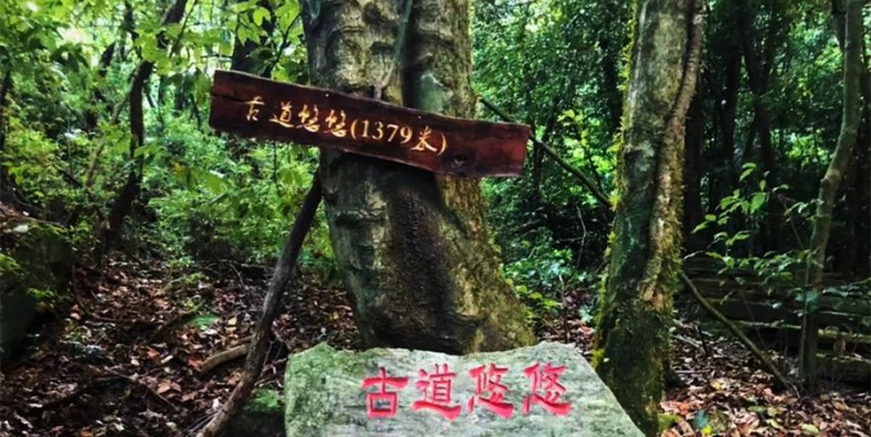 Guzhou Ancient Tea Horse Road in Xinping County, Yuxi