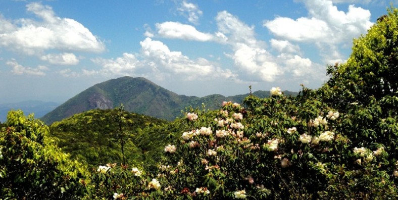 Laojun Mountain Nature Reserve in Maguan County, Wenshan