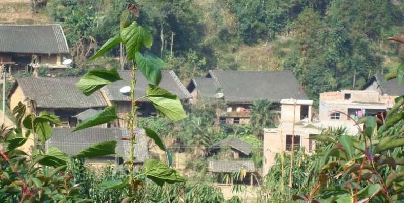 Longmai Village in Funing County, Wenshan