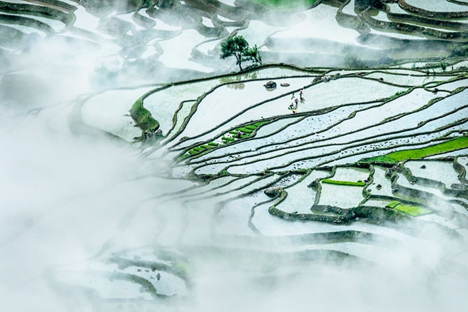 Honghe Hani Rice Terraces in southwest China’s Yunnan province