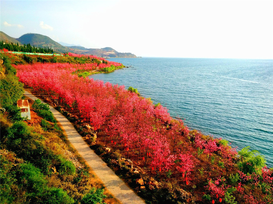 Top 10 Yuxi Tourist Attractions and Things To Do Rated on TripAdvisor